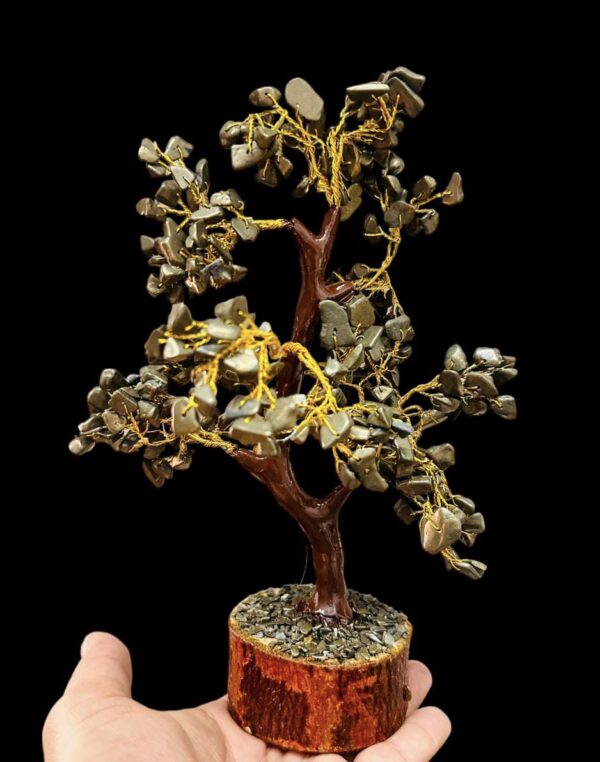 WhatsApp Image 2025-07-20 at 12.29.15