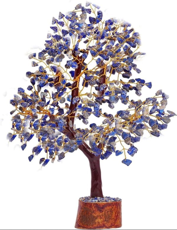 WhatsApp Image 2025-07-24 at 11.56.26 (5)